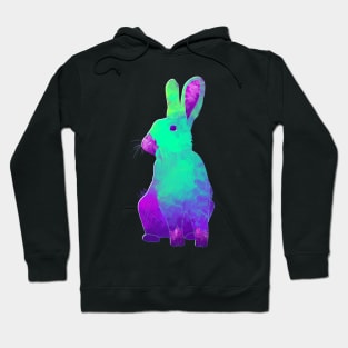 Brilliant Bunny Hoodie